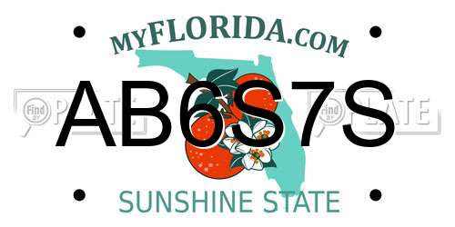 AB6S7S Florida License Plate