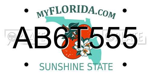 AB6T555 Florida License Plate