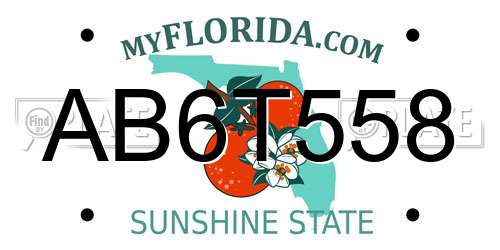 AB6T558 Florida License Plate