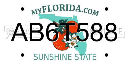 AB6T588 Florida License Plate