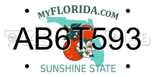 AB6T593 Florida License Plate