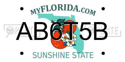 AB6T5B Florida License Plate