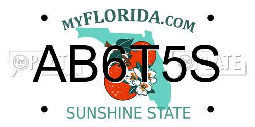 AB6T5S Florida License Plate