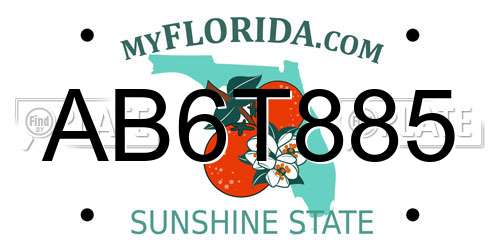 AB6T885 Florida License Plate