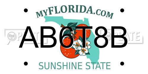 AB6T8B Florida License Plate