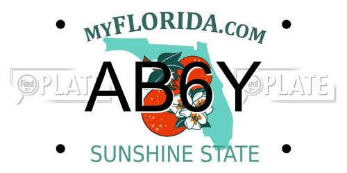 AB6Y Florida License Plate