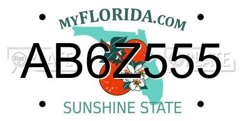 AB6Z555 Florida License Plate
