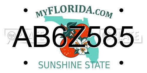 AB6Z585 Florida License Plate