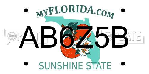 AB6Z5B Florida License Plate