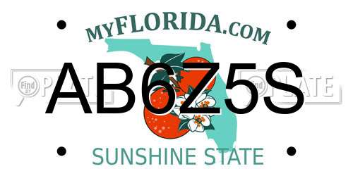 AB6Z5S Florida License Plate