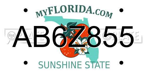 AB6Z855 Florida License Plate