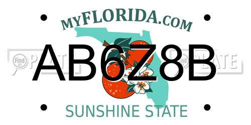 AB6Z8B Florida License Plate