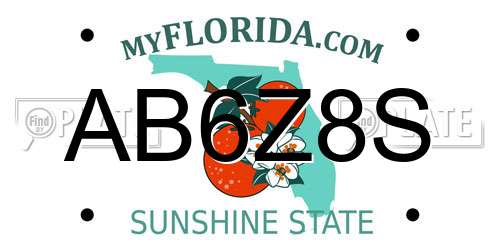 AB6Z8S Florida License Plate