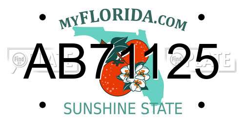 AB71125 Florida License Plate