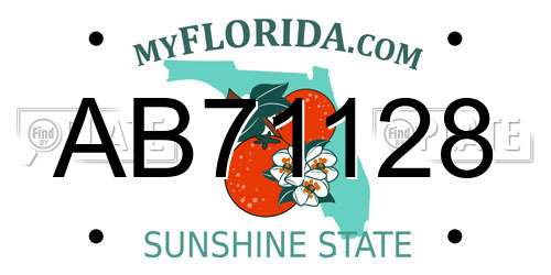 AB71128 Florida License Plate