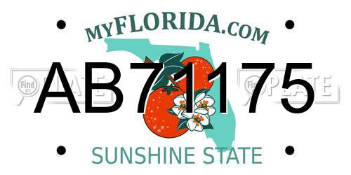 AB71175 Florida License Plate