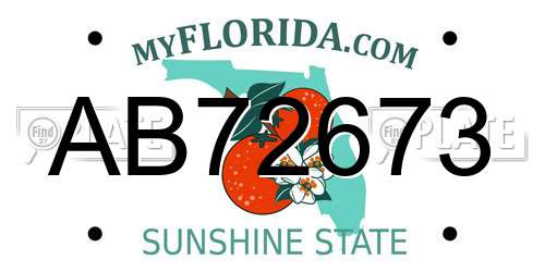 AB72673 Florida License Plate