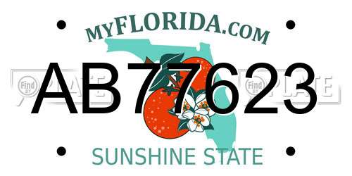 AB77623 Florida License Plate