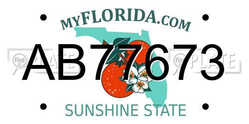 AB77673 Florida License Plate
