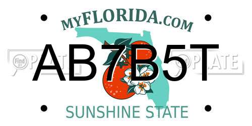 AB7B5T Florida License Plate