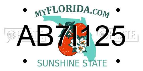 AB7I125 Florida License Plate