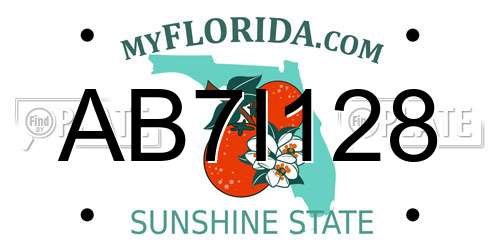 AB7I128 Florida License Plate