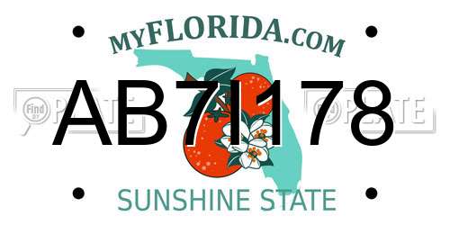 AB7I178 Florida License Plate