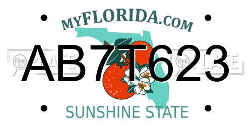 AB7T623 Florida License Plate