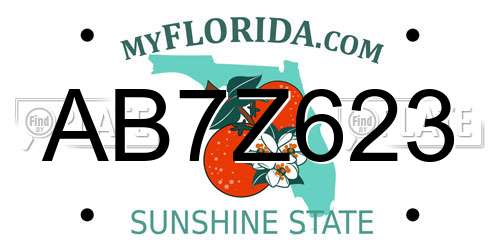 AB7Z623 Florida License Plate
