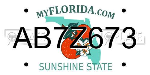 AB7Z673 Florida License Plate