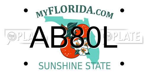 AB80L Florida License Plate