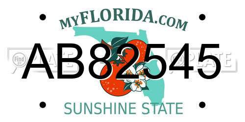 AB82545 Florida License Plate