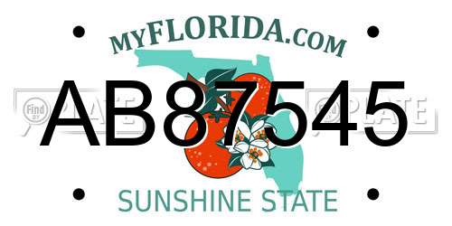 AB87545 Florida License Plate