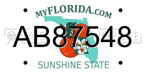 AB87548 Florida License Plate