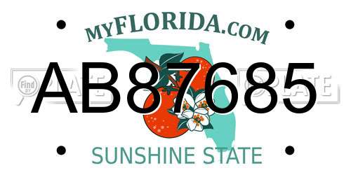 AB87685 Florida License Plate