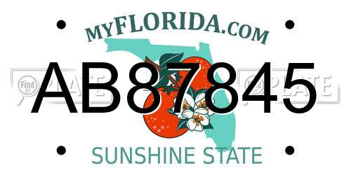AB87845 Florida License Plate