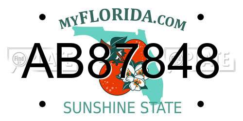 AB87848 Florida License Plate