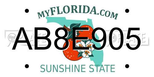 AB8E905 Florida License Plate