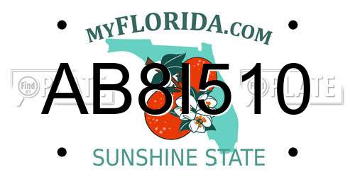 AB8I510 Florida License Plate