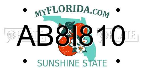 AB8I810 Florida License Plate