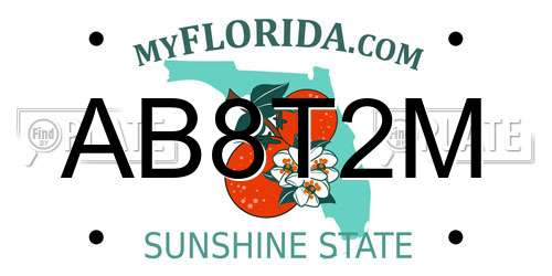 AB8T2M Florida License Plate