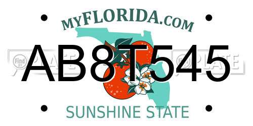 AB8T545 Florida License Plate