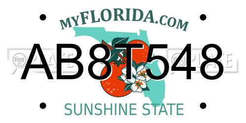 AB8T548 Florida License Plate
