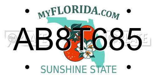 AB8T685 Florida License Plate