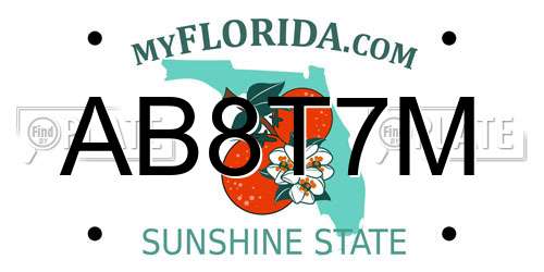 AB8T7M Florida License Plate