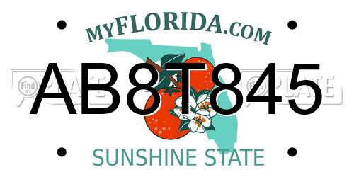 AB8T845 Florida License Plate
