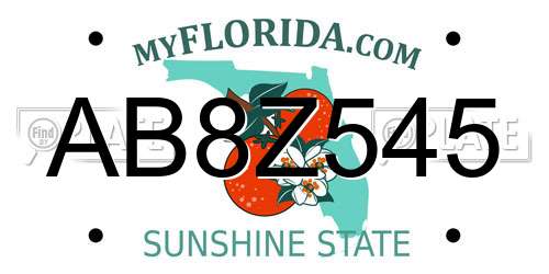AB8Z545 Florida License Plate