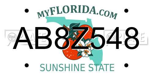 AB8Z548 Florida License Plate
