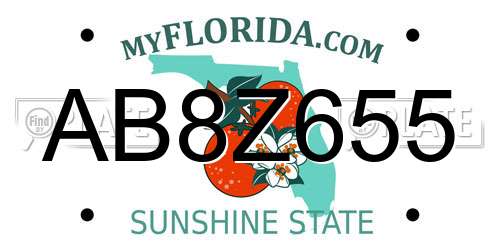 AB8Z655 Florida License Plate