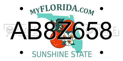 AB8Z658 Florida License Plate